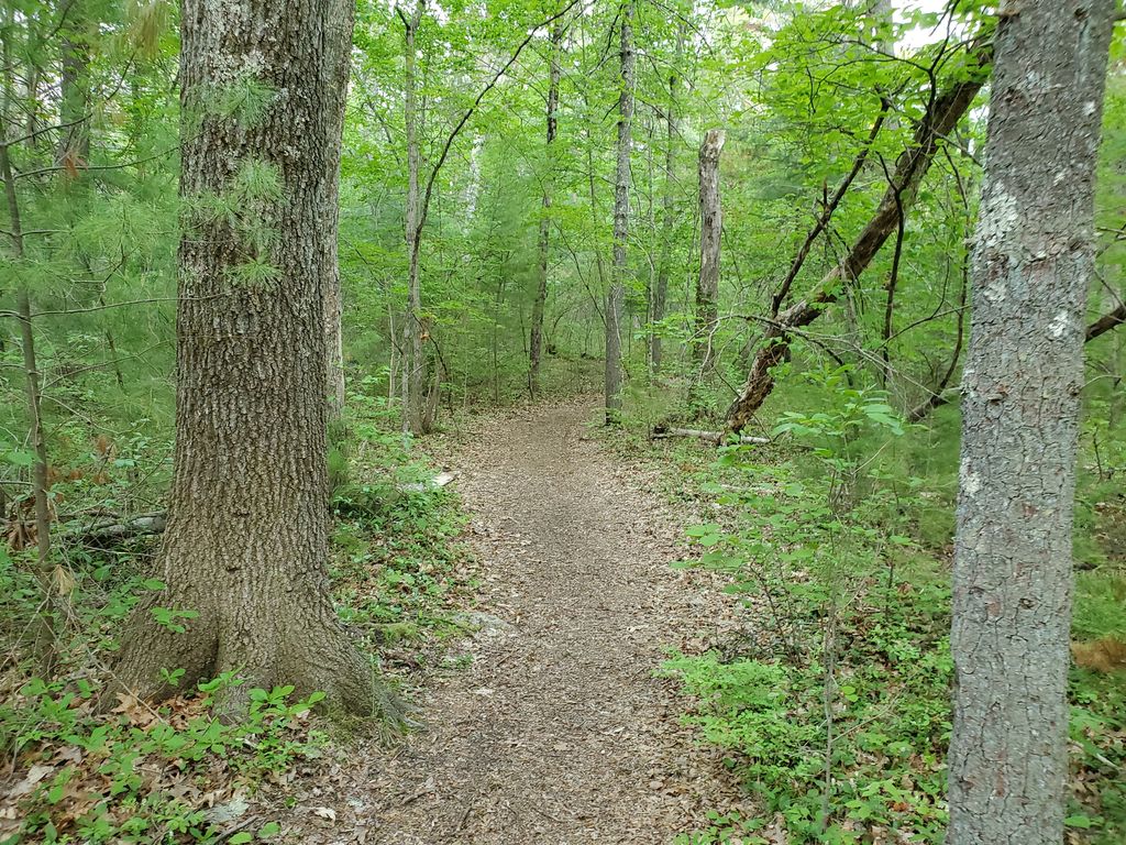 Nickerson-Walking-Woods-Preserve-4