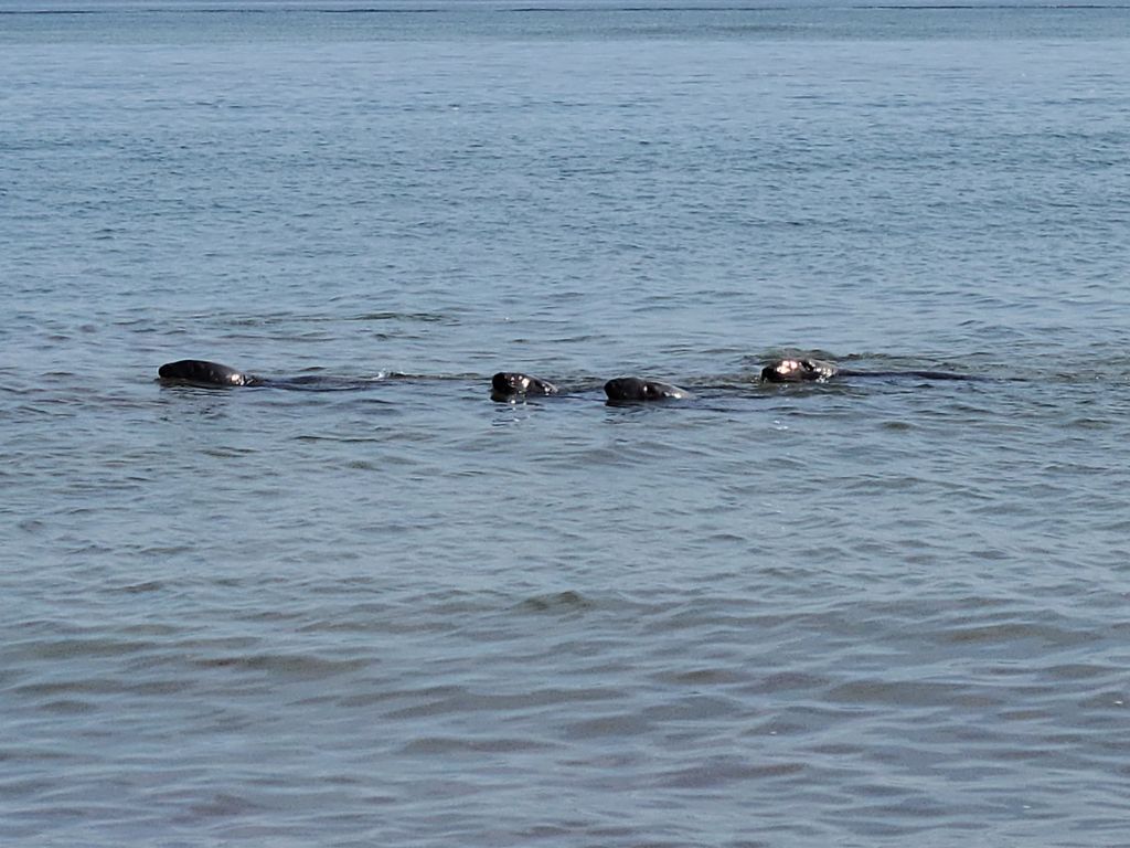 North-Truro-High-Head-Beach-1