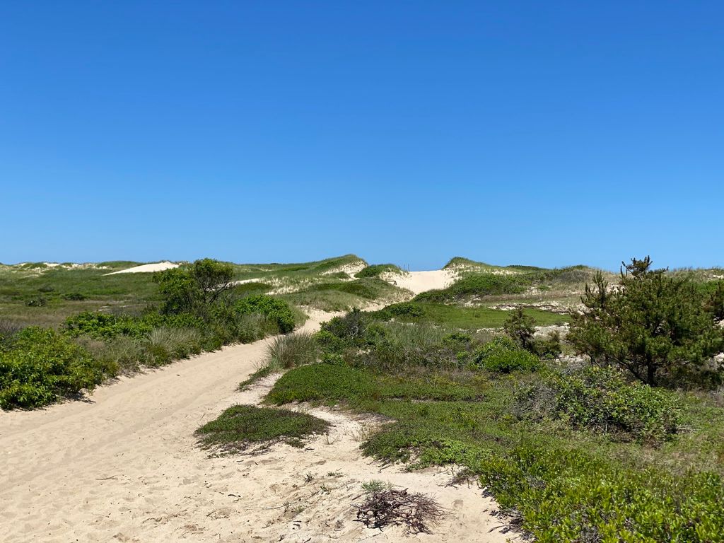 North-Truro-High-Head-Beach