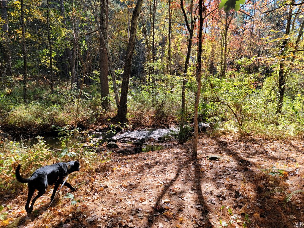 Old-Farm-Trail-1