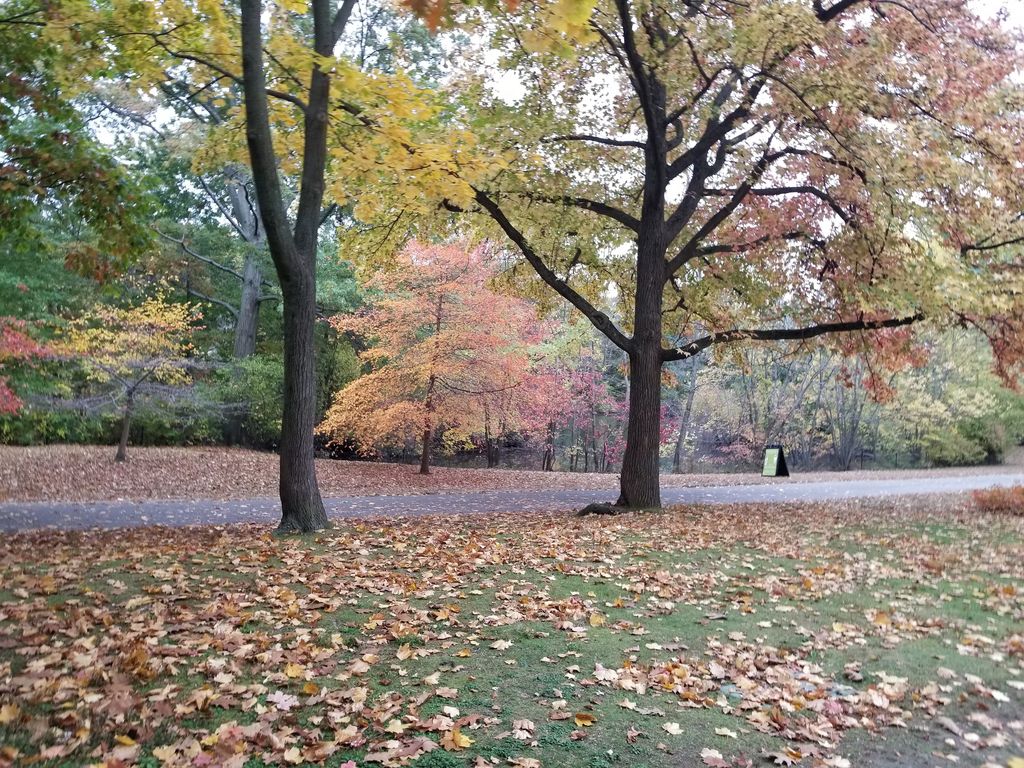 Olmsted-Park-2