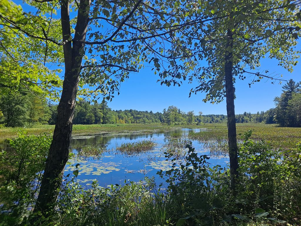 Otter-River-Conservation-Area
