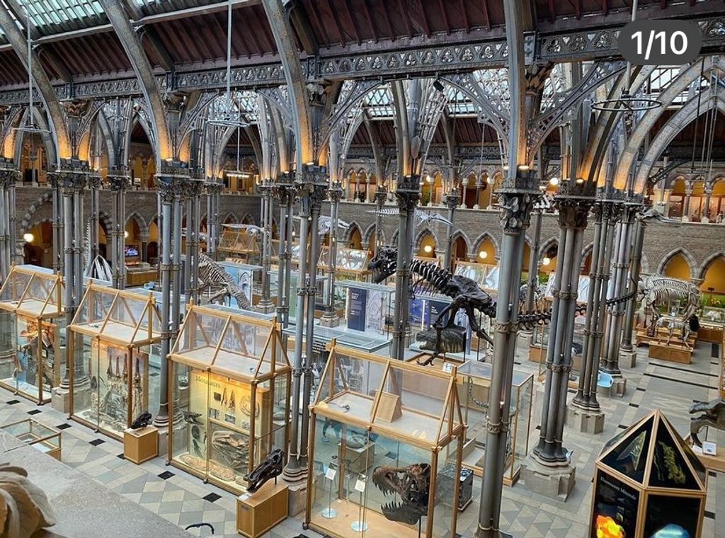 Oxford-University-Museum-of-Natural-History-1