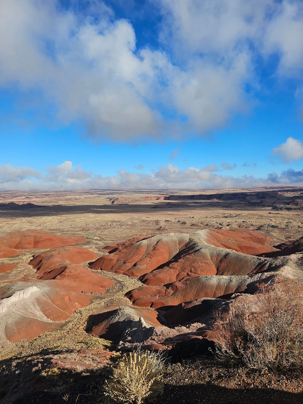 Petrified-Forest-National-Park