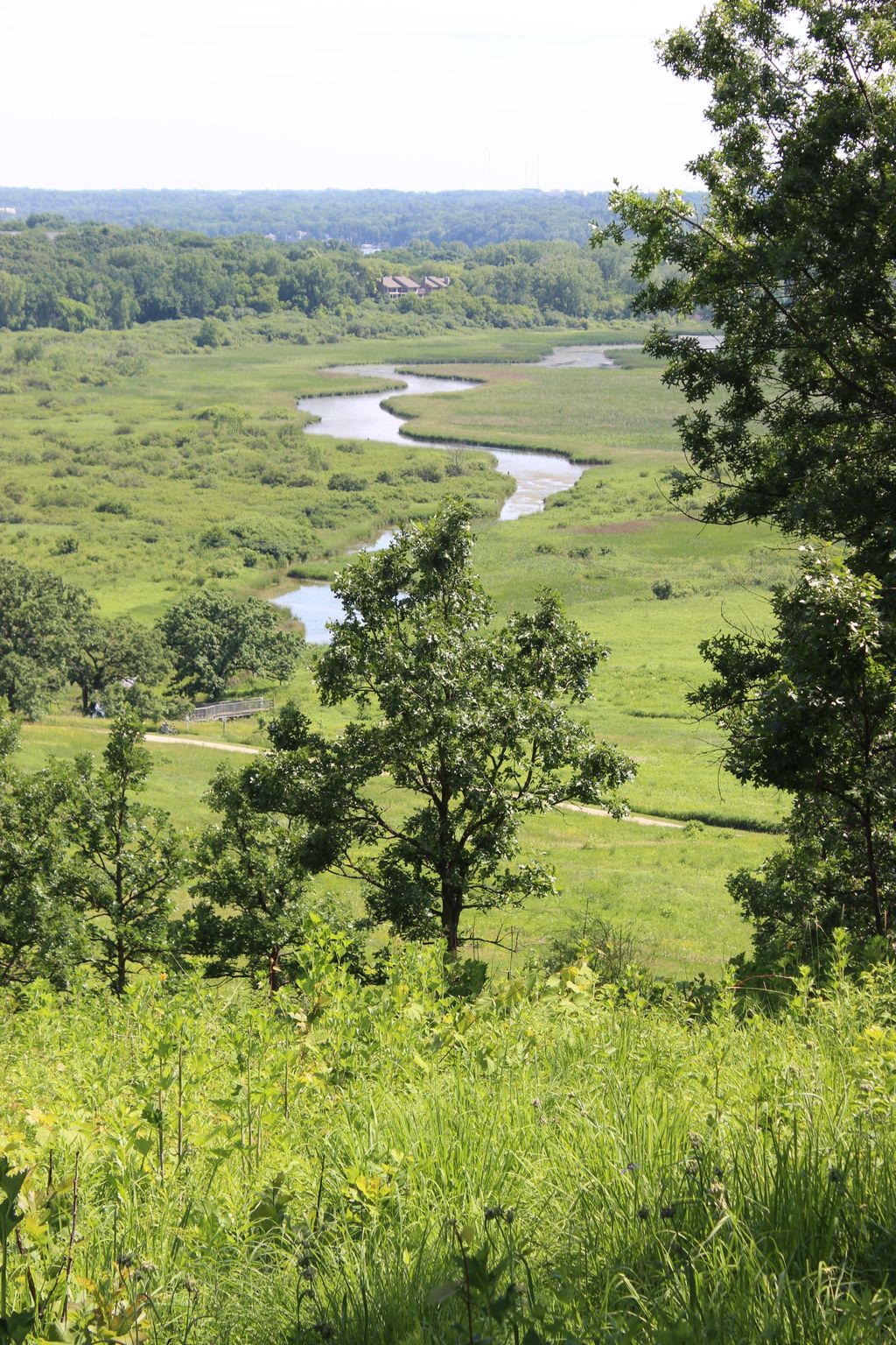 Pheasant-Branch-Conservancy-1