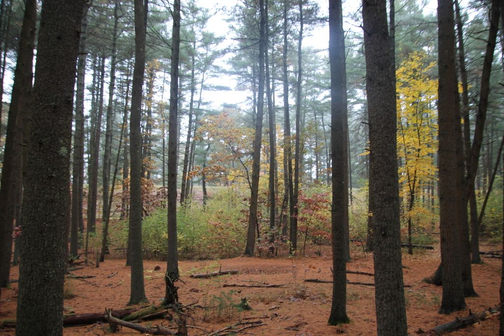 Pine-Grove-Trailhead