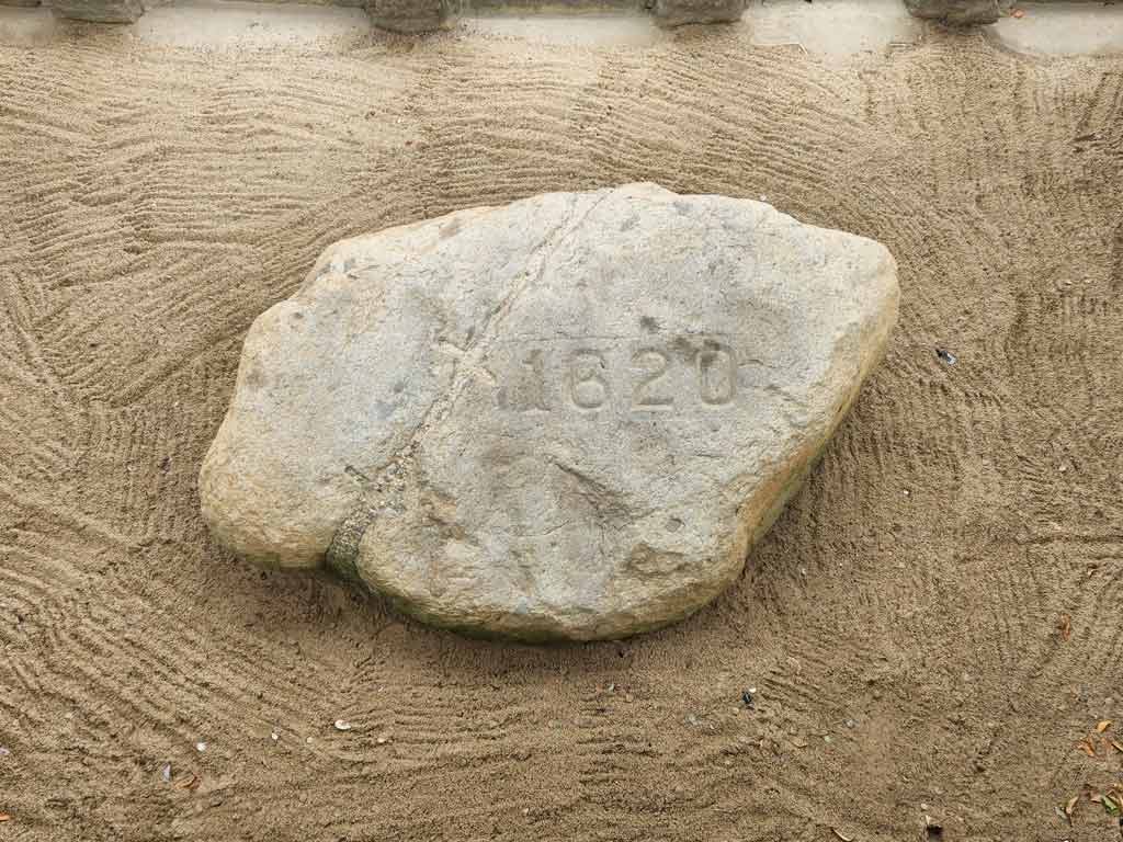 Plymouth Rock 