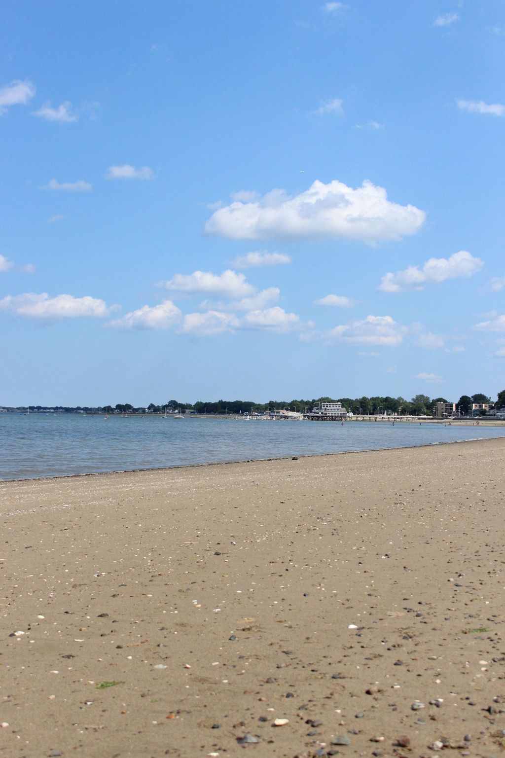 Quincy-Shores-Reservation-1