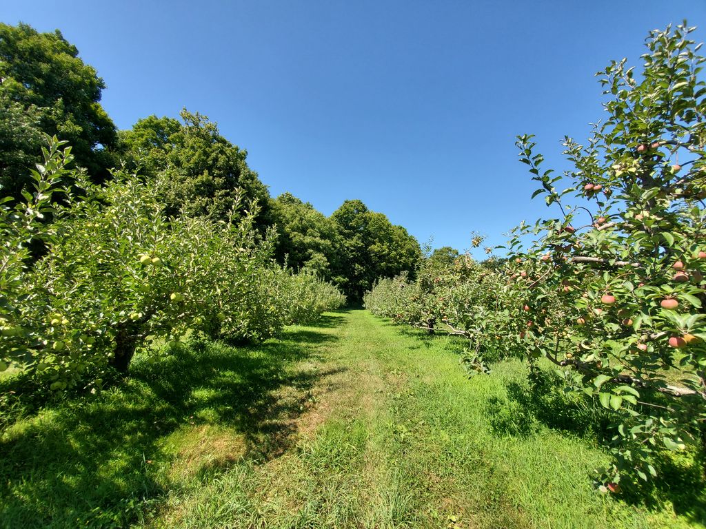 Quonquont-Farm-1