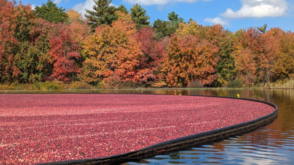 Red-Meadow-Farm