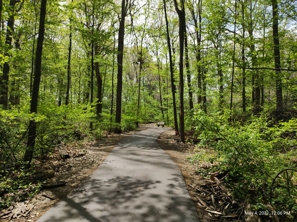 Red-Oaks-Nature-Center-1