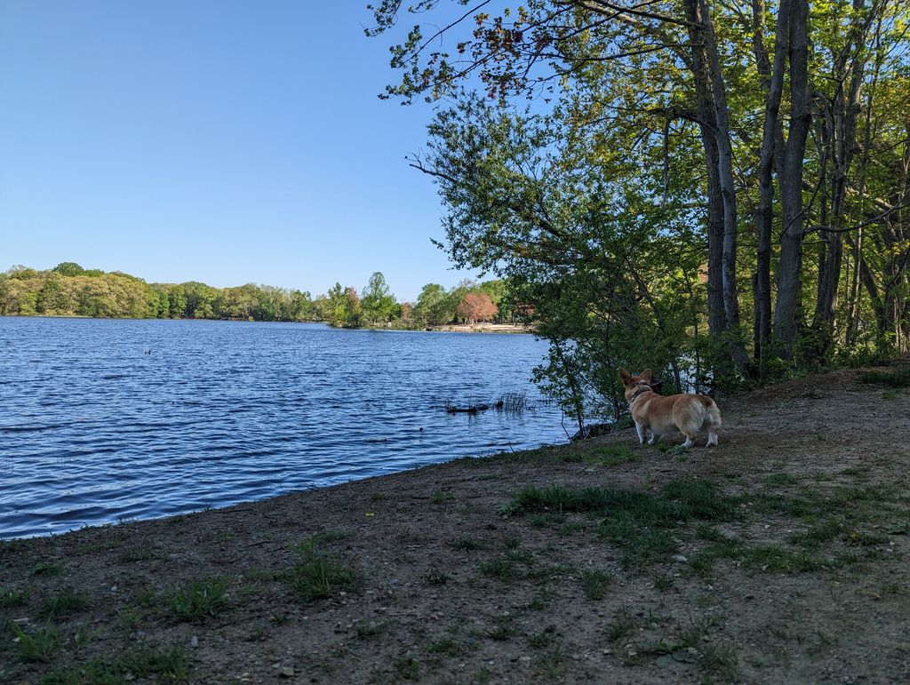 Reservoir-Beach-3