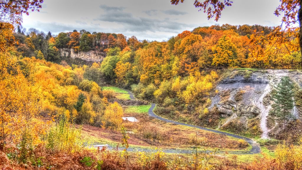 Saltwells-Local-Nature-Reserve