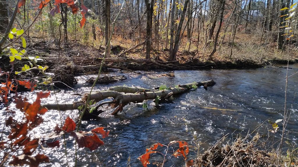 Scantic-River-State-Park-East