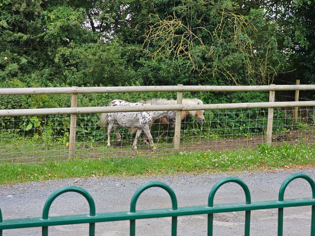 Sedgley-adventure-centre-1