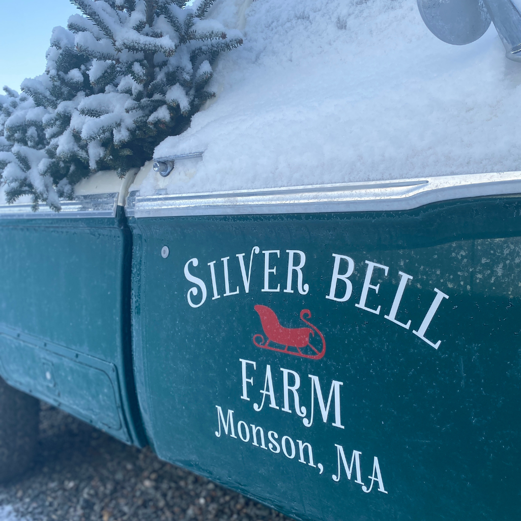 Silver-Bell-Farm