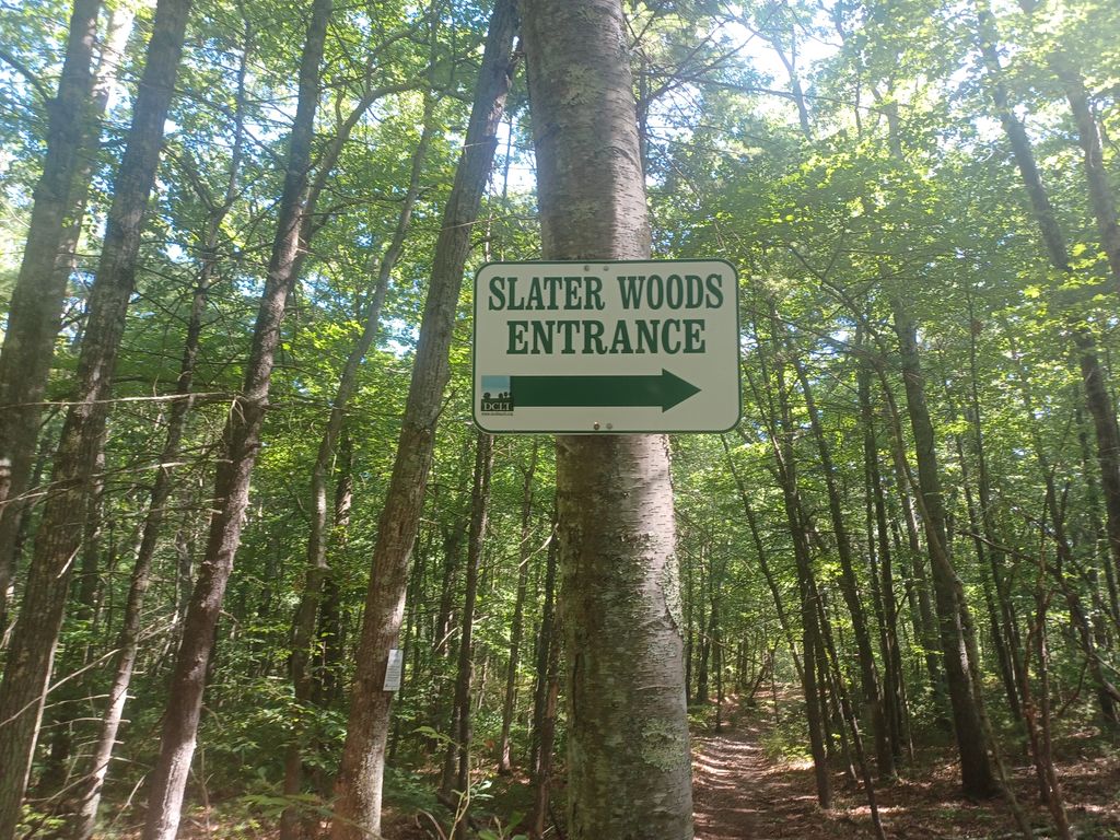 Slater-Woods