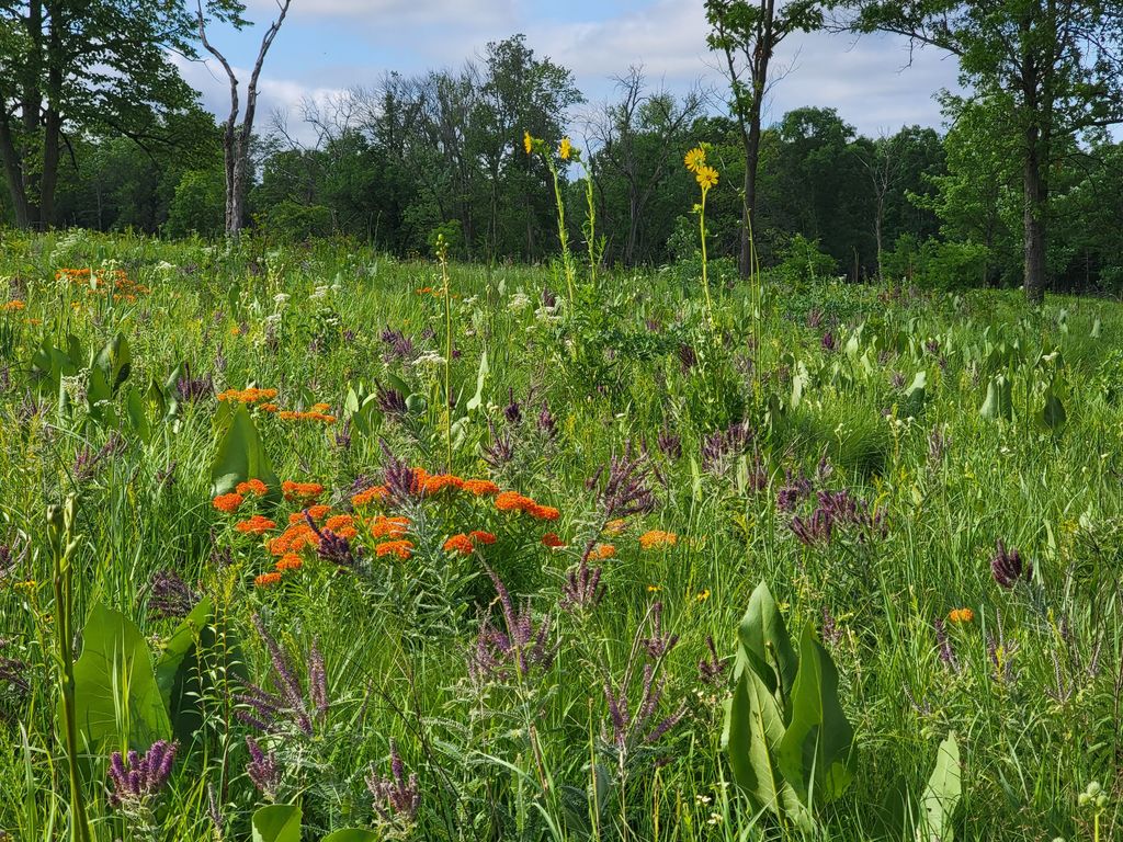 Somme-Prairie-Nature-Preserve-3