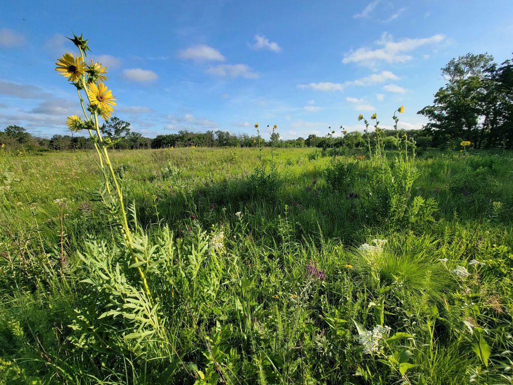 Somme-Prairie-Nature-Preserve-4