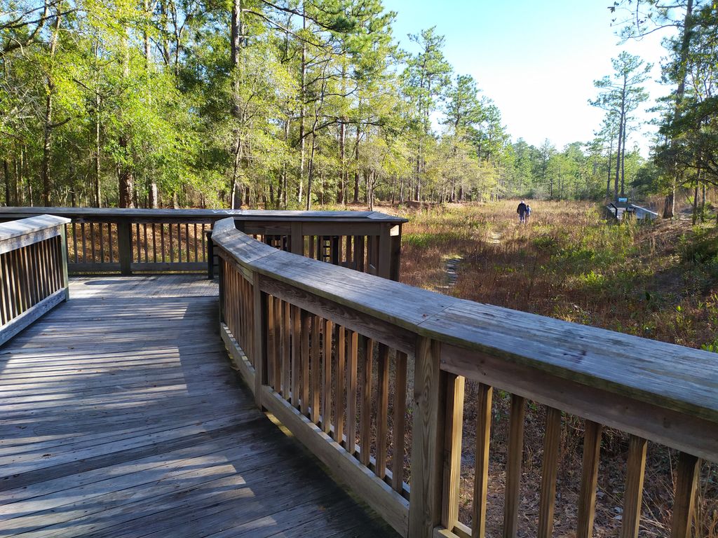 Stanley-Rehder-Carnivorous-Plant-Garden-at-Piney-Ridge-Nature-Preserve-Wilmington