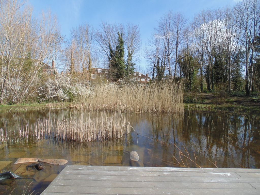 Sutton-Ecology-Centre-Grounds