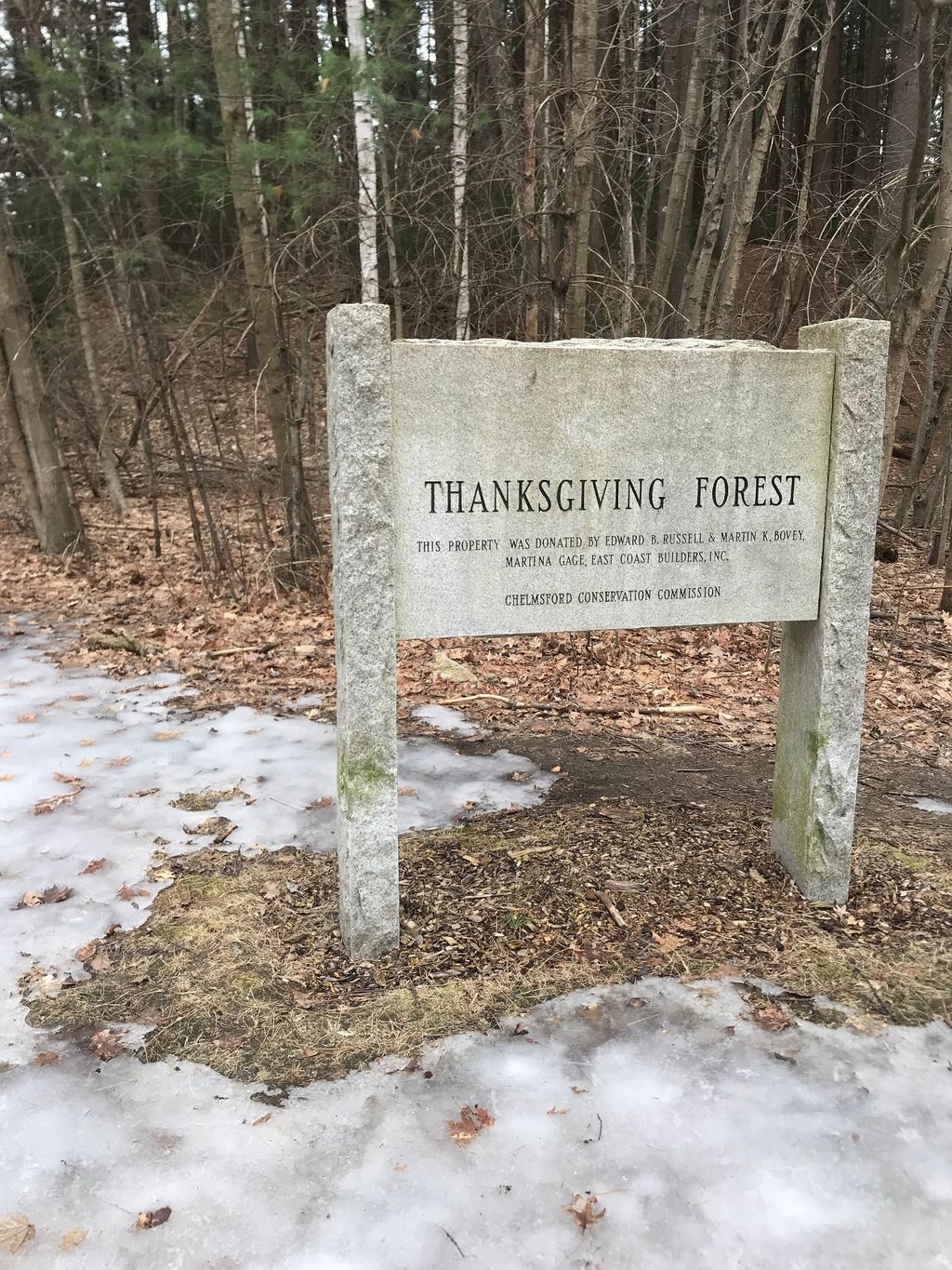 Thanksgiving-Ground-Forest