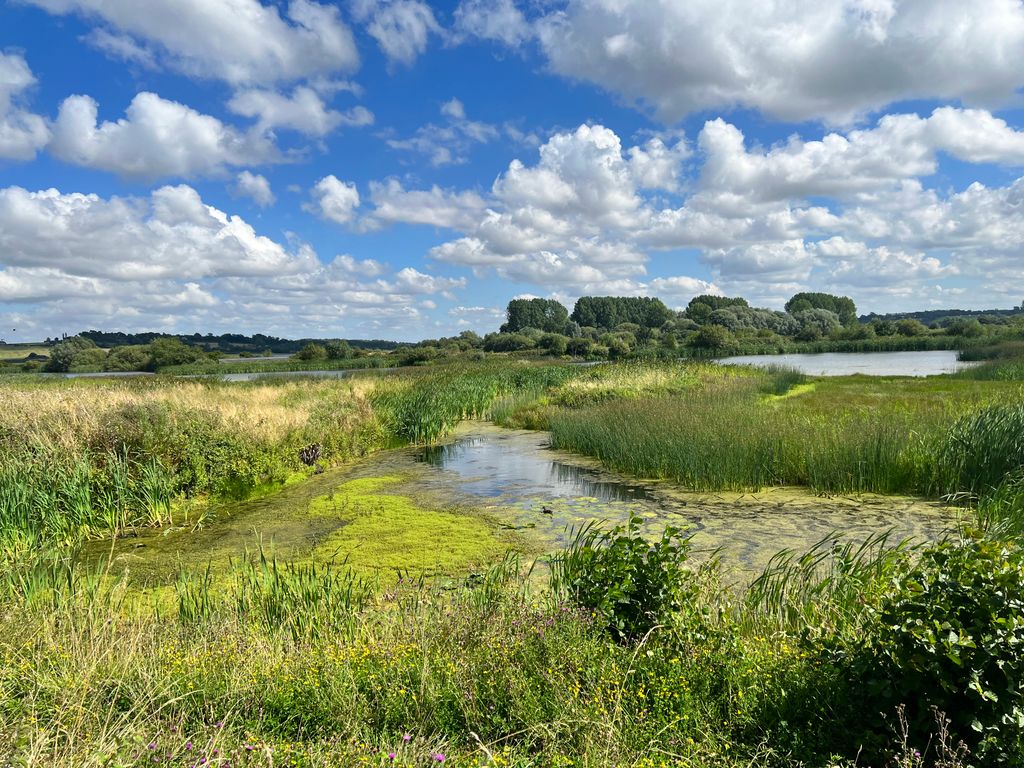 The-Anglian-Water-Bird-Watching-Centre-1