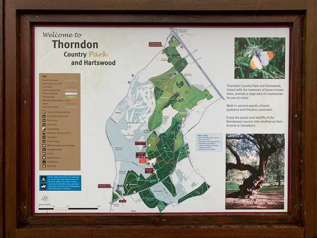 Thorndon-Country-Park