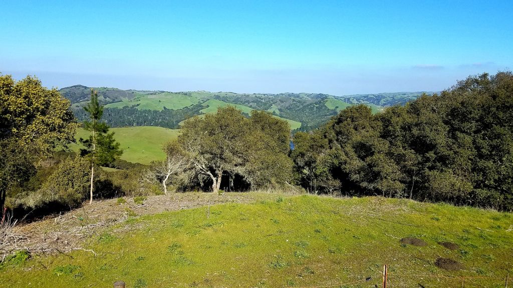 Tilden-Regional-Park