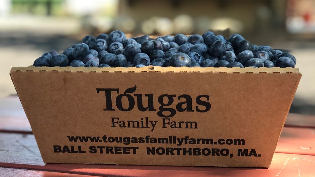 Tougas-Family-Farm