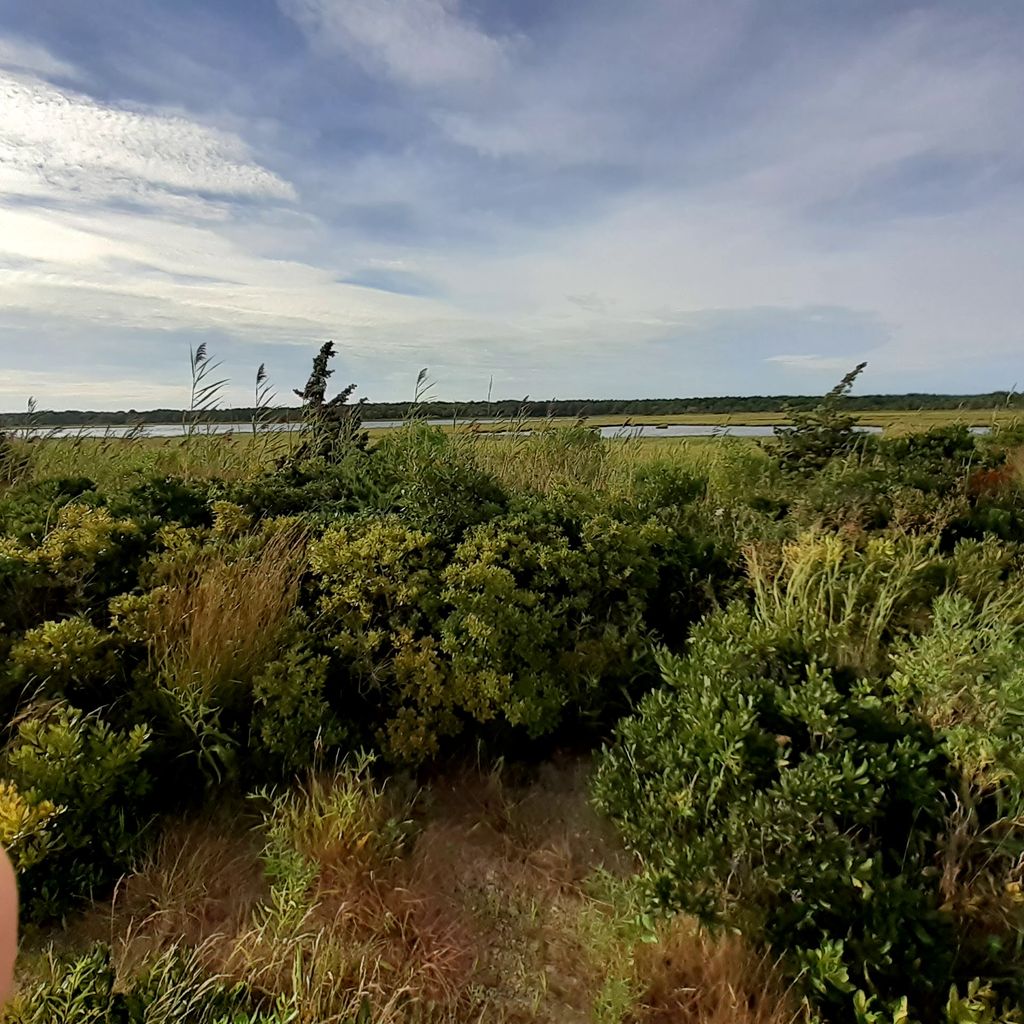 Town-of-Mashpee-Beach-1