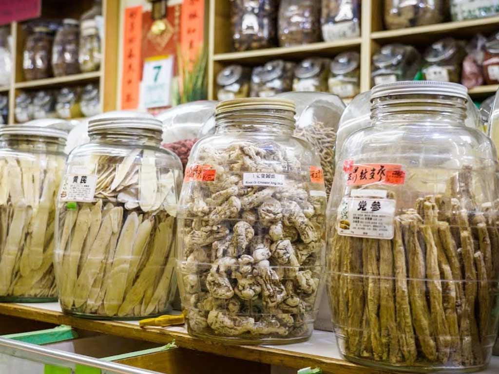 Traditional Herbal Medicine Shops 