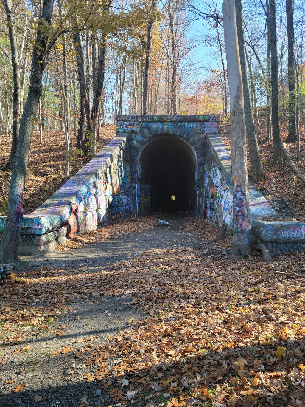 Train-Tunnel