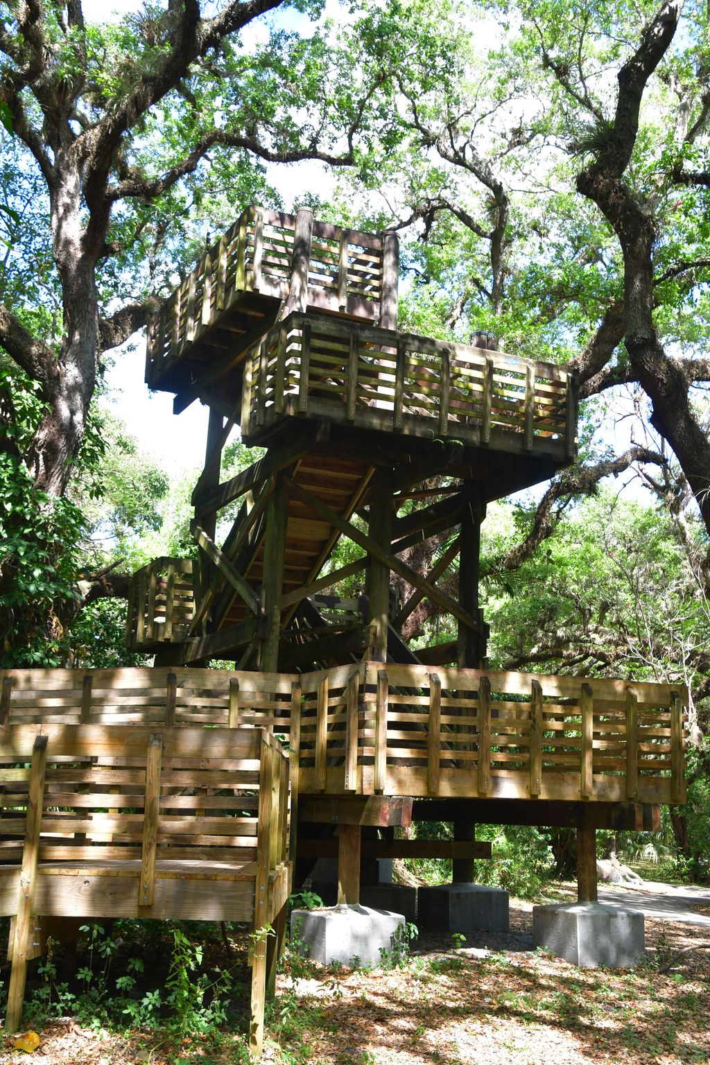 Tree-Tops-Park