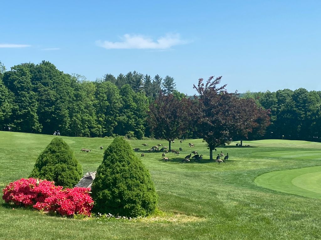 Wachusett-Country-Club