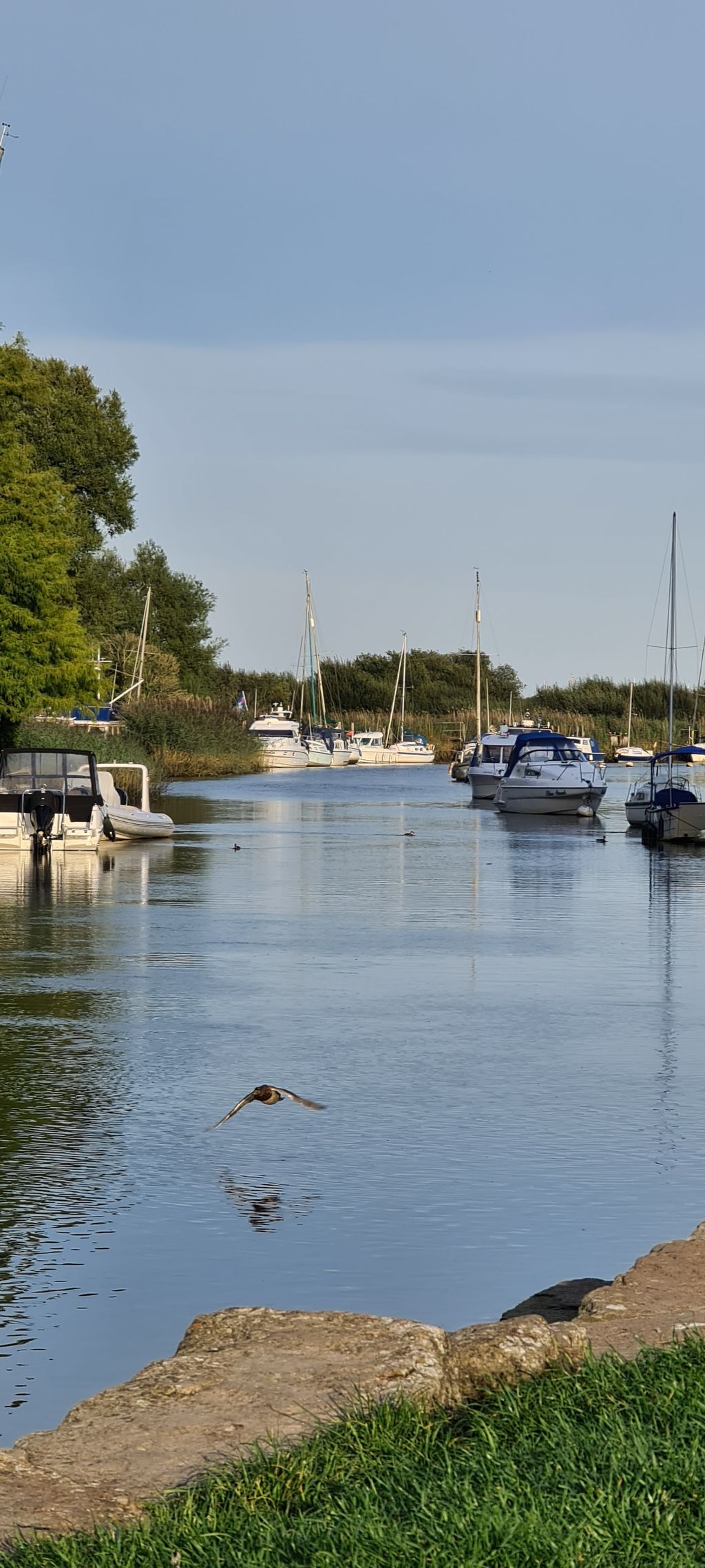 Wareham-Quay-River-Cruises