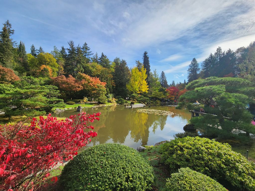 Washington-Park-Arboretum