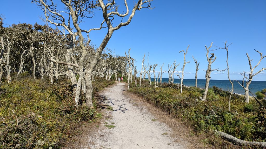 Wasque-Fishermans-Parking-Area