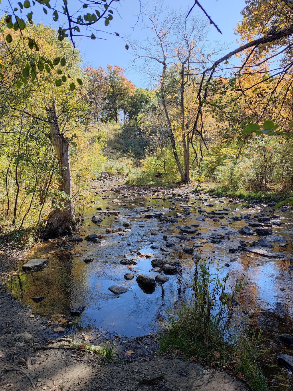 Waterfall-Glen-Forest-Preserve-1