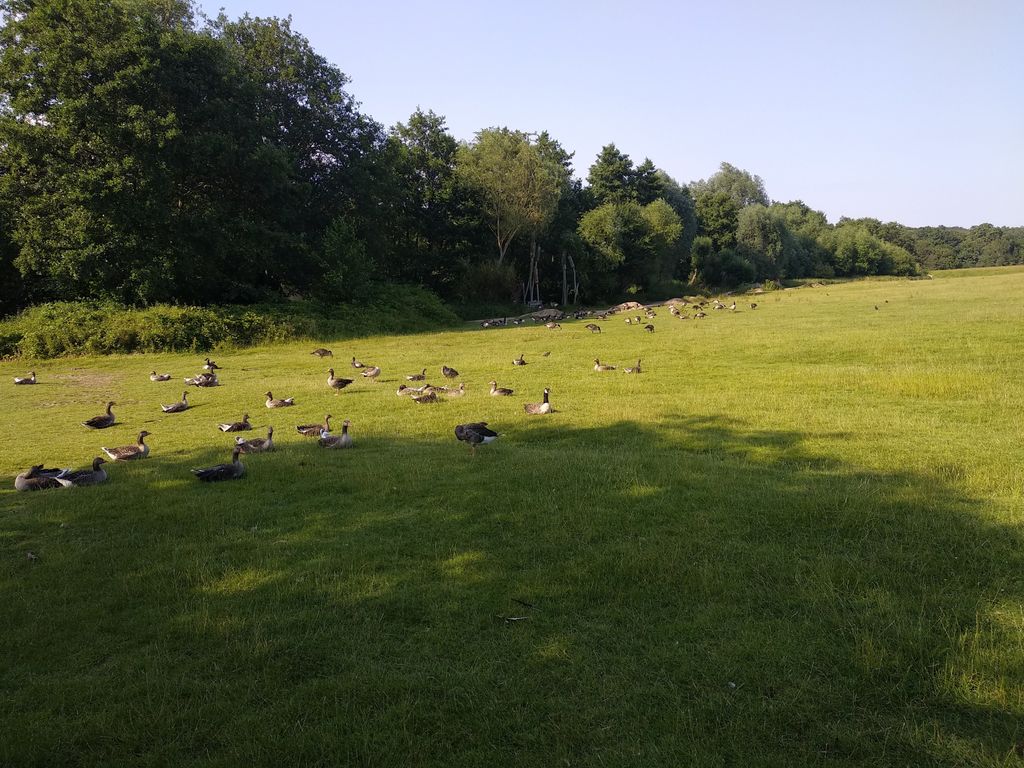 Weald-Country-Park