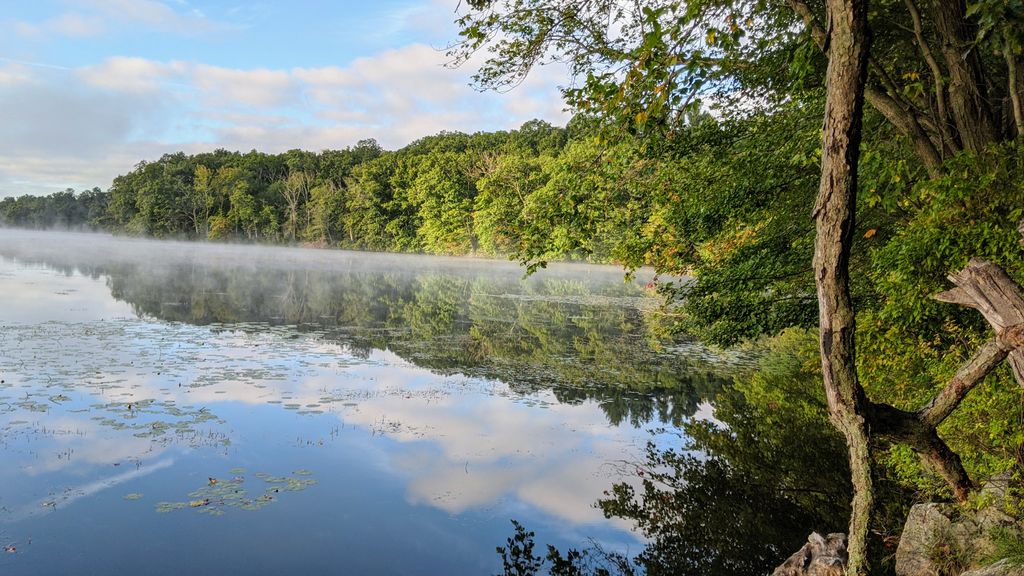 Westboro-Wildlife-Management-Area-1