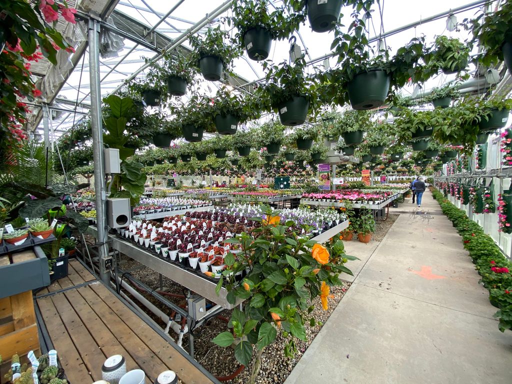 Whitneys-Farm-Market-Garden-Center-1