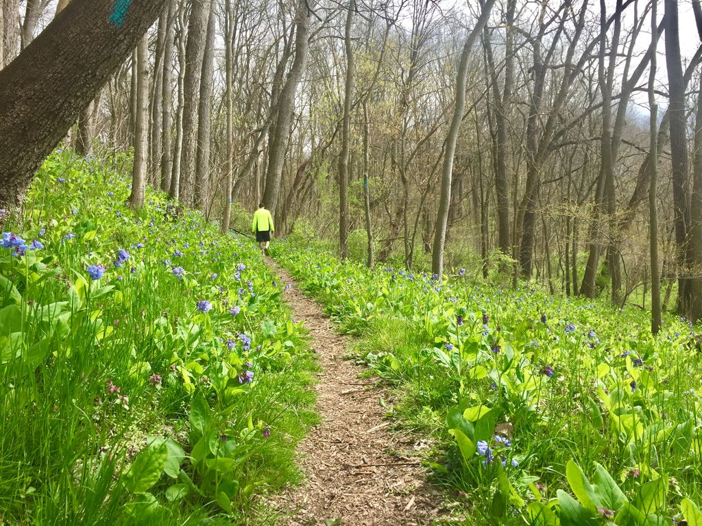 Windolph-Landing-Nature-Preserve