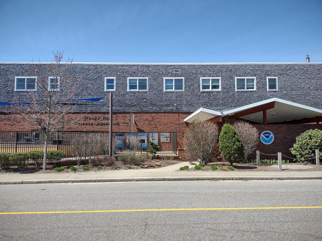 Woods-Hole-Science-Aquarium