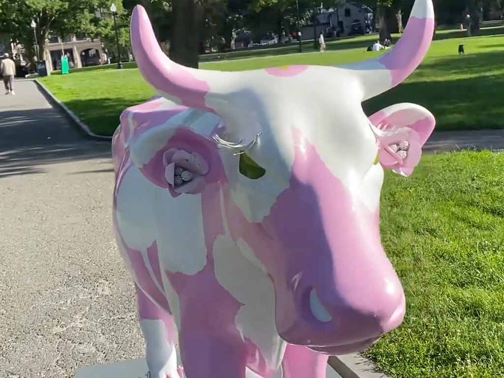 Public Gardens: Blooms and Bovines