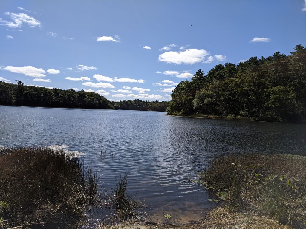 Beaver-Dam-Conservation-Area-1