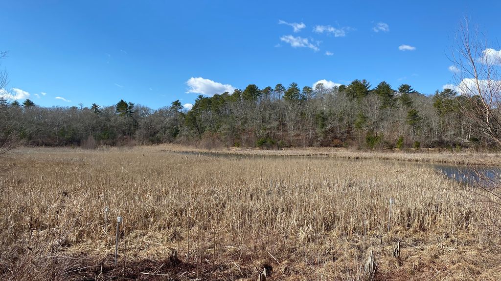 Beaver-Dam-Conservation-Area