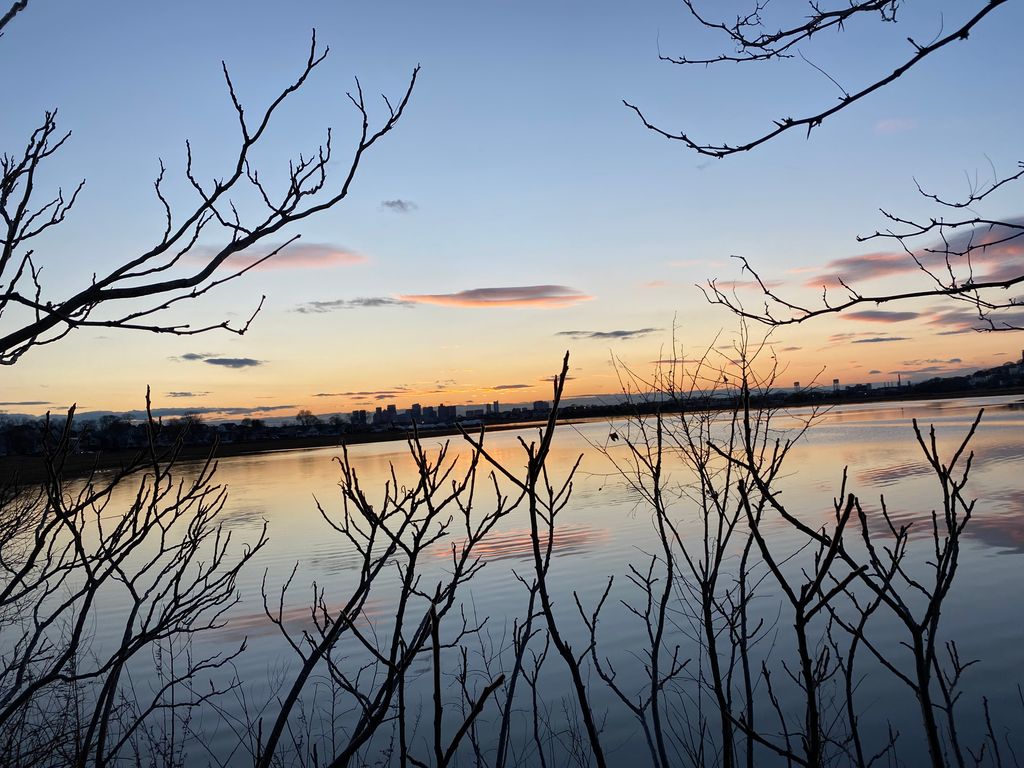 Belle-Isle-Marsh-Marine-Ecology-Park-1