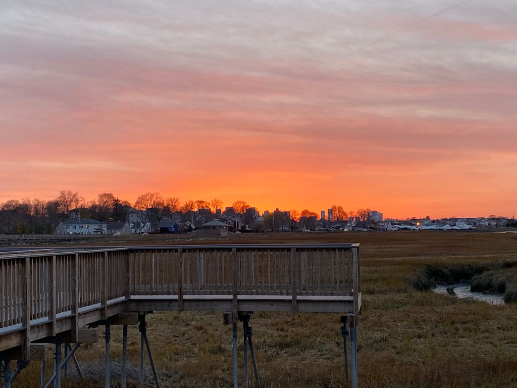 Belle-Isle-Marsh-Marine-Ecology-Park