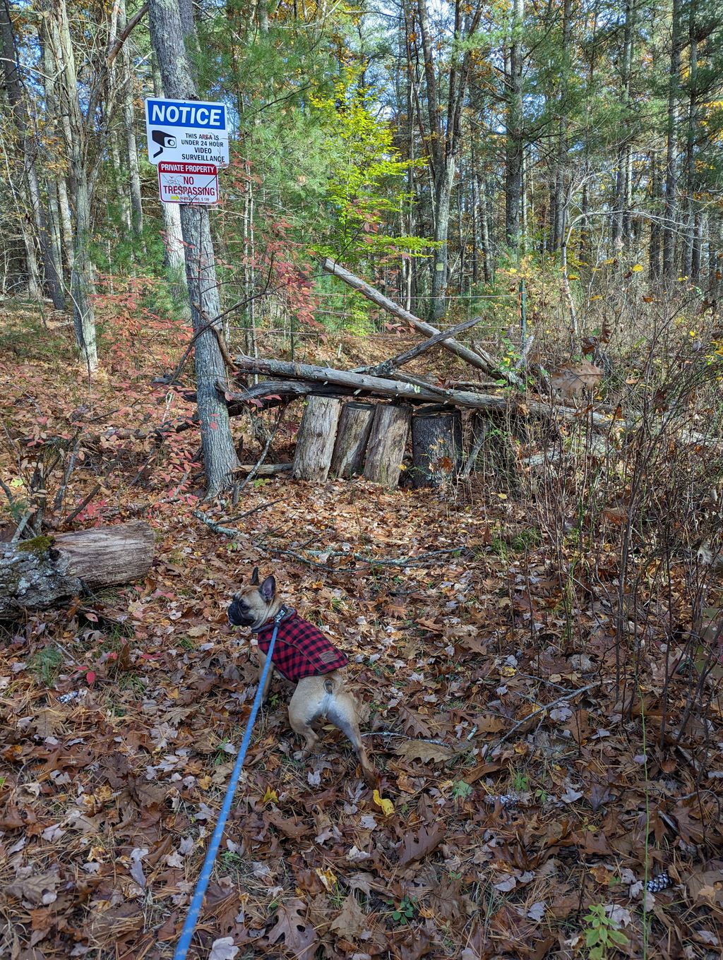 Crane-Farm-Preserve